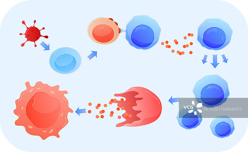 研究用科学：DNA人类细胞切面图图片素材