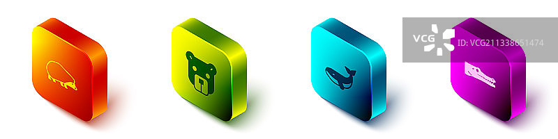 2.5D等距刺猬熊鲸鱼图标图片素材