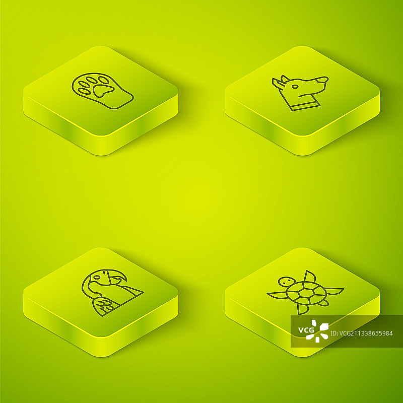 2.5D狗头金刚鹦鹉乌龟组合图片素材