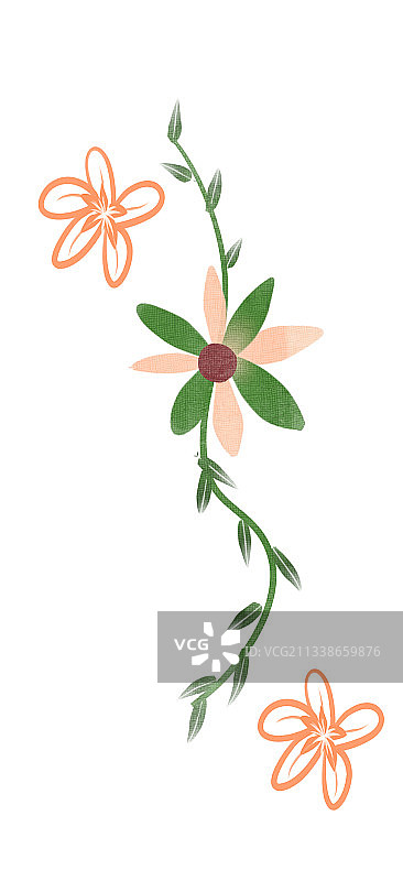 花纹插画元素图片素材