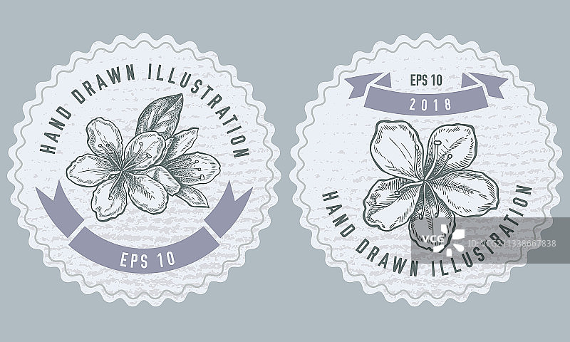 李子单色标签设计图片素材