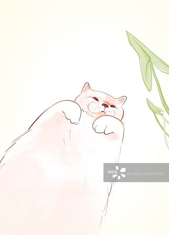 插画午睡的小猫图片素材