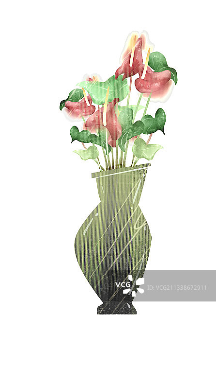 红掌花插画元素图片素材