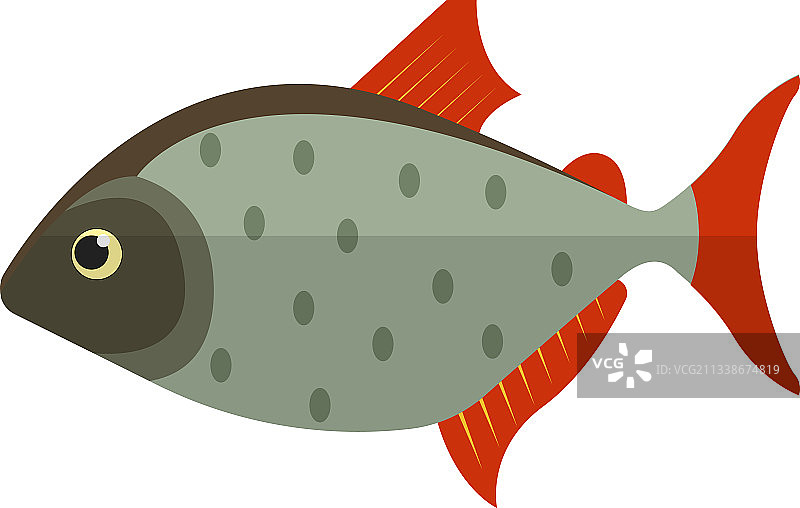 白色背景上的食人鱼图标图片素材