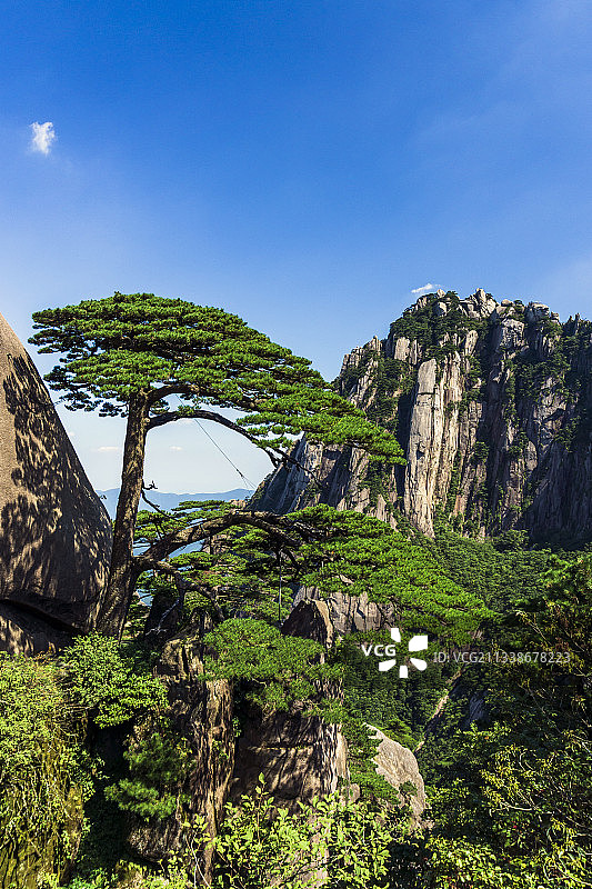 黄山标志迎客松与第一险峰天都峰图片素材
