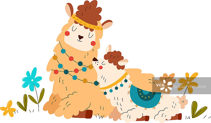 动物宝宝：可爱的小羊驼图片素材