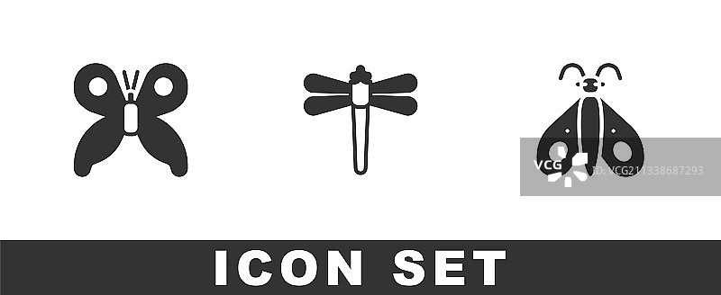 蝴蝶、蜻蜓和图标合集图片素材