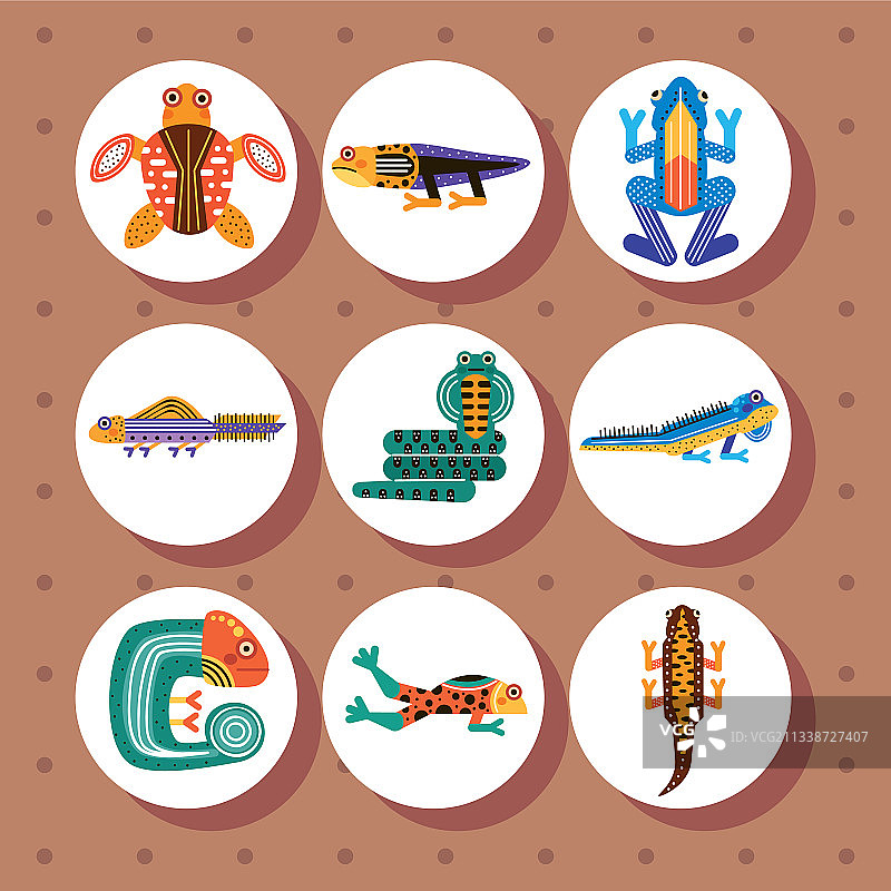 九个可爱的两栖动物图片素材