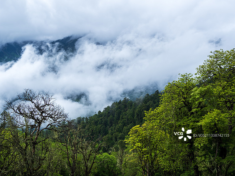 德贡线-云岭-孔雀山风景图片素材