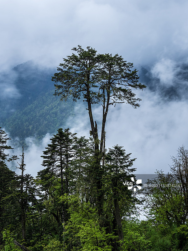 德贡线-云岭-孔雀山风景图片素材