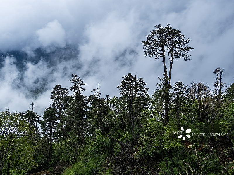 德贡线-云岭-孔雀山风景图片素材