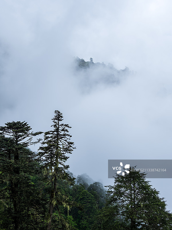 德贡线-云岭-孔雀山风景图片素材