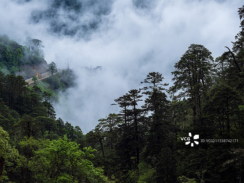 德贡线-云岭-孔雀山风景图片素材