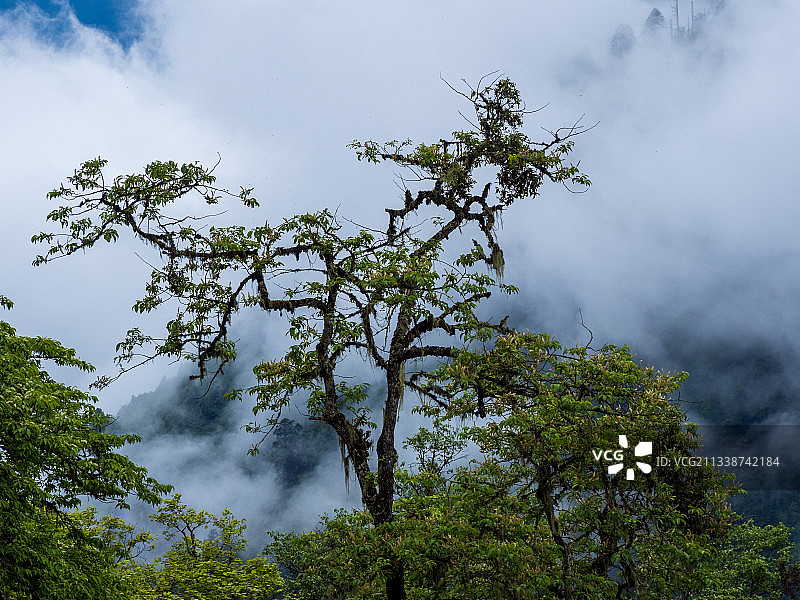 德贡线-云岭-孔雀山风景图片素材
