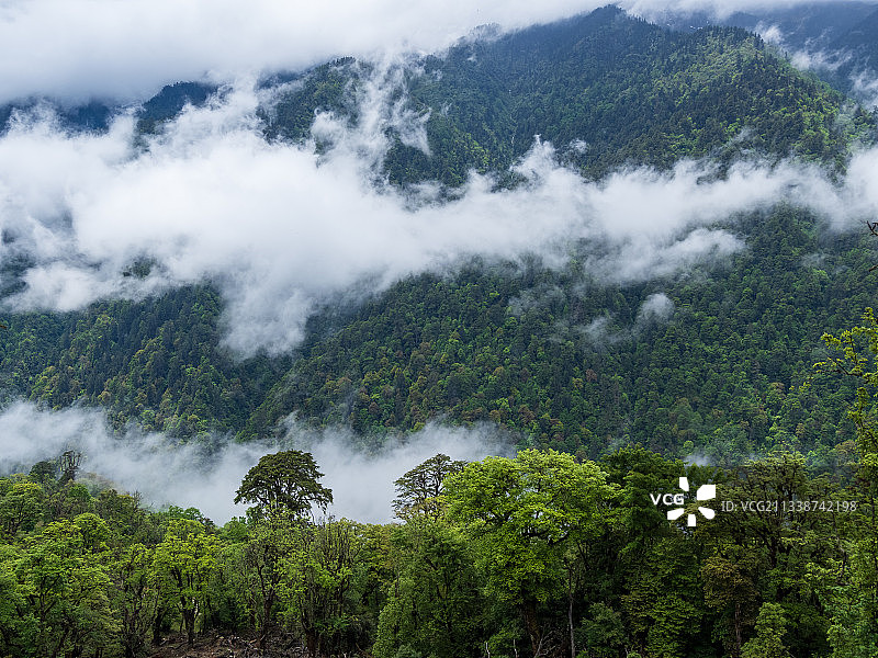 德贡线-云岭-孔雀山风景图片素材