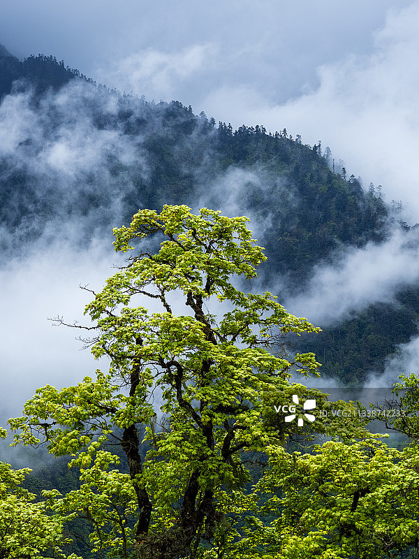 德贡线-云岭-孔雀山风景图片素材