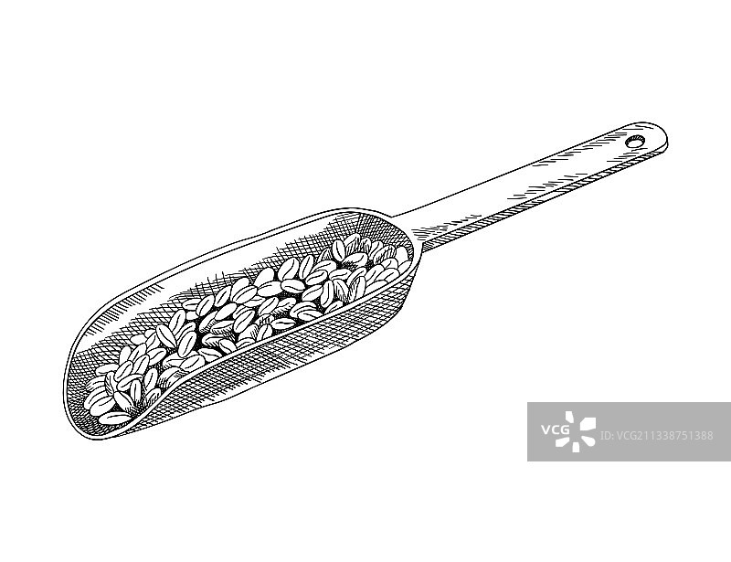 麦粒素描手绘黑白稿图片素材