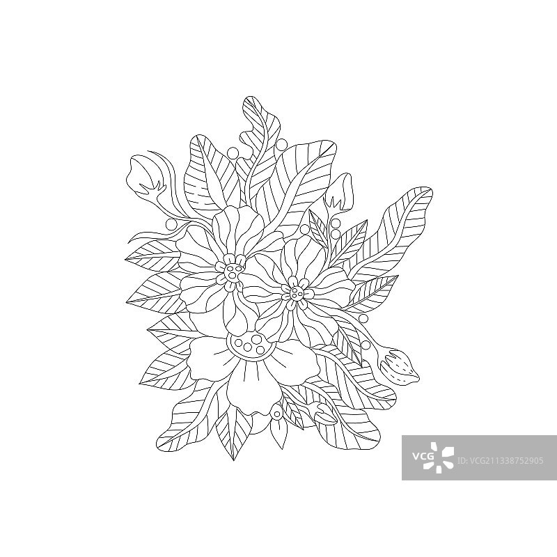 黑白涂鸦花朵轮廓图片素材