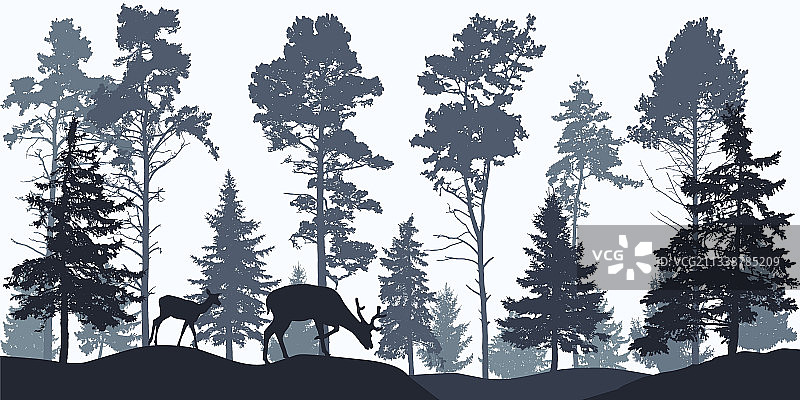 林地剪影针叶树壁纸图片素材