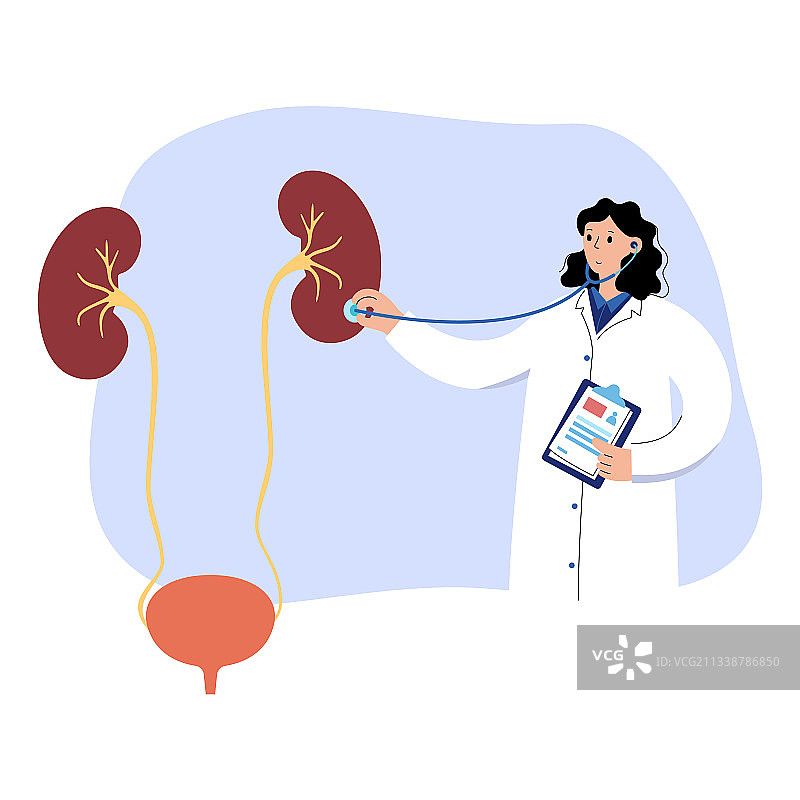 肾脏疾病概念图片素材