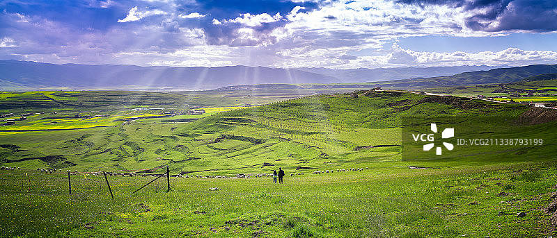 草原的守望者图片素材