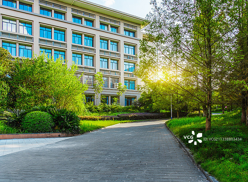 夏天的重庆师范大学校园小路和教学楼图片素材