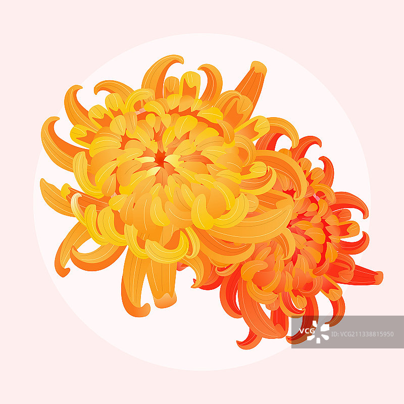 重阳节海报老人登高望远秋游户外背景插画图片素材