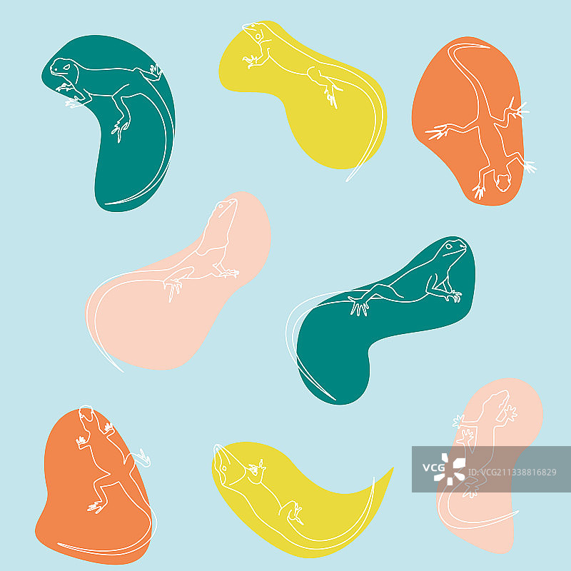 彩色斑点上的白色轮廓蜥蜴图案套装图片素材