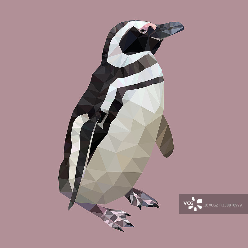 低多边形技术绘制的麦哲伦企鹅图片素材