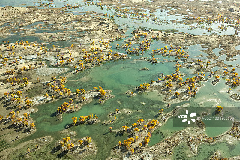 航拍新疆塔克拉玛干沙漠中的水胡杨图片素材