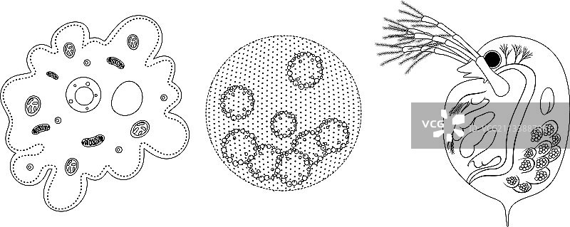 涂鸦风格的单细胞生物套装图片素材