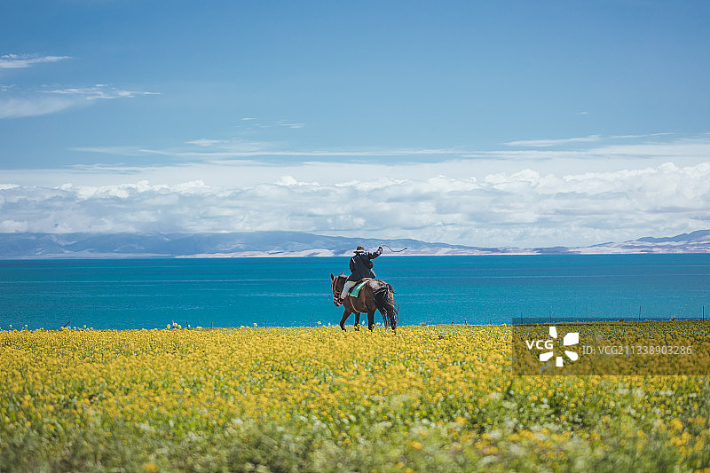 策马奔腾图片素材