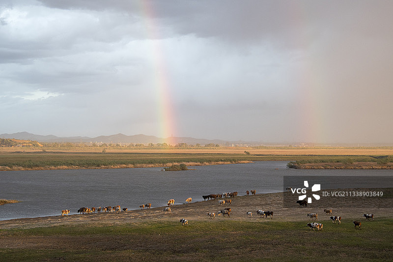 辽河牧歌图片素材