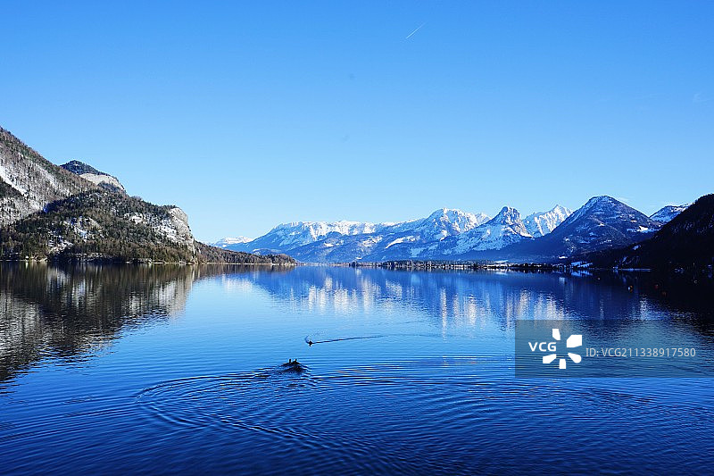 令人心醉的蓝图片素材