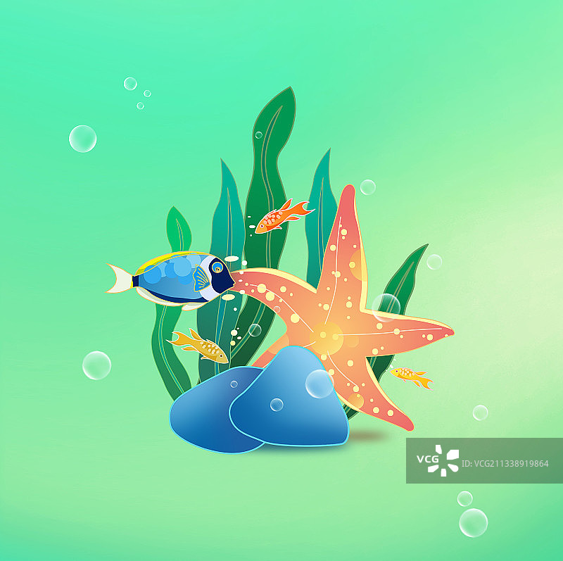 鱼儿海星与海草插画图片素材