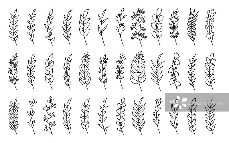 黑色曲线月桂树枝套装图片素材