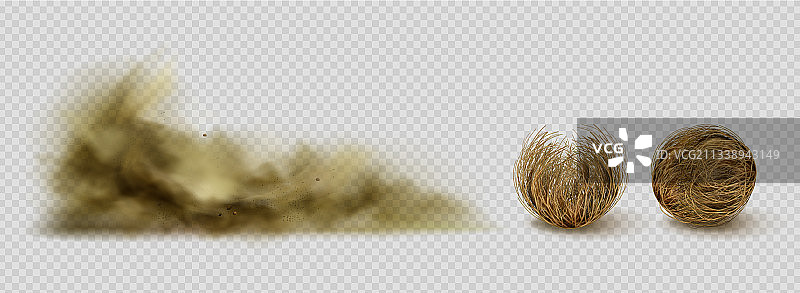 风滚草和沙尘暴云沙漠植物图片素材