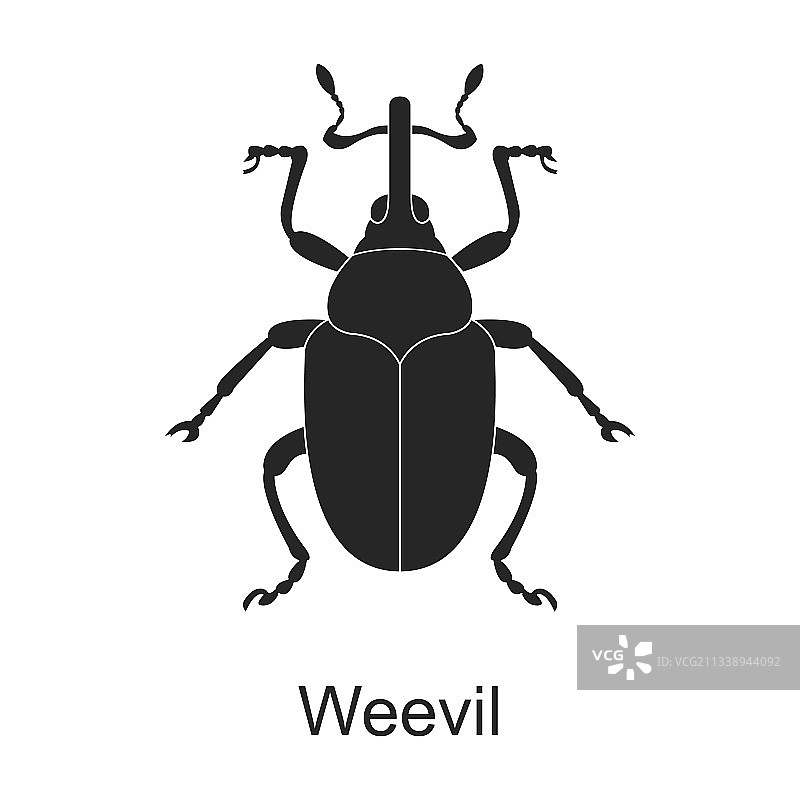 黑色象鼻虫害虫图标图片素材