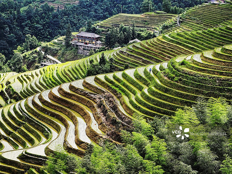 龙脊梯田图片素材