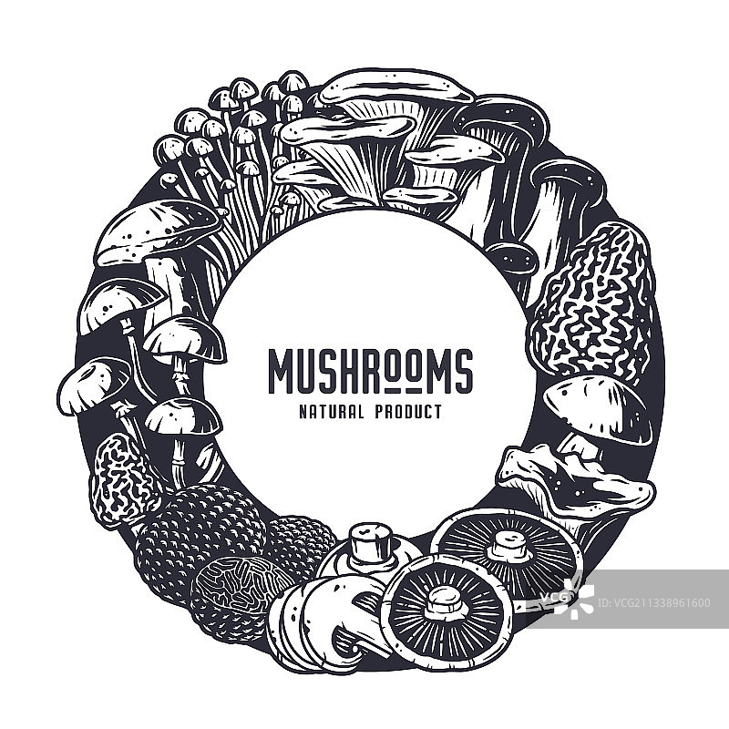 采摘蘑菇：自然蘑菇真菌图片素材