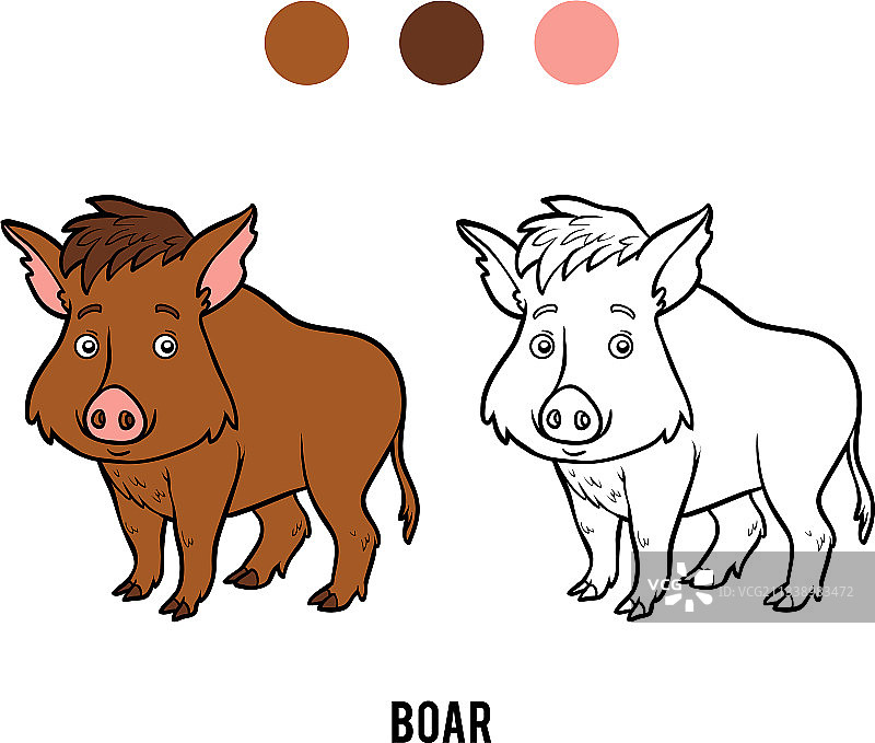 着色书：野猪图片素材