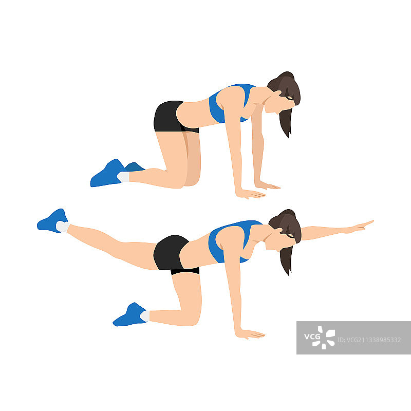 鸟式伸展图片素材