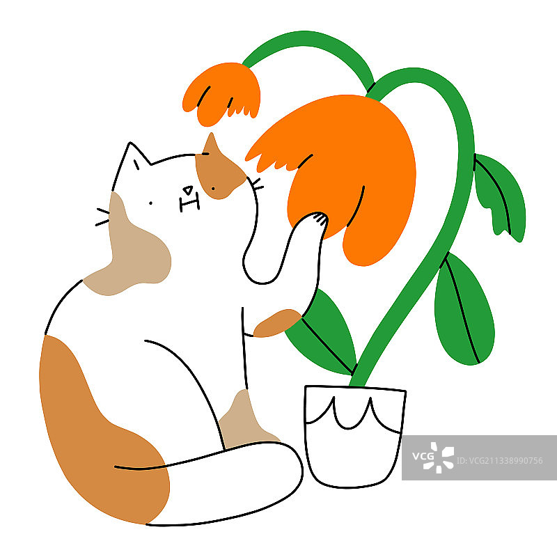 猫咪咀嚼花朵图片素材