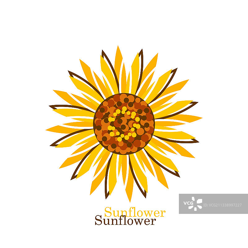 扁平风格的白色背景向日葵图片素材
