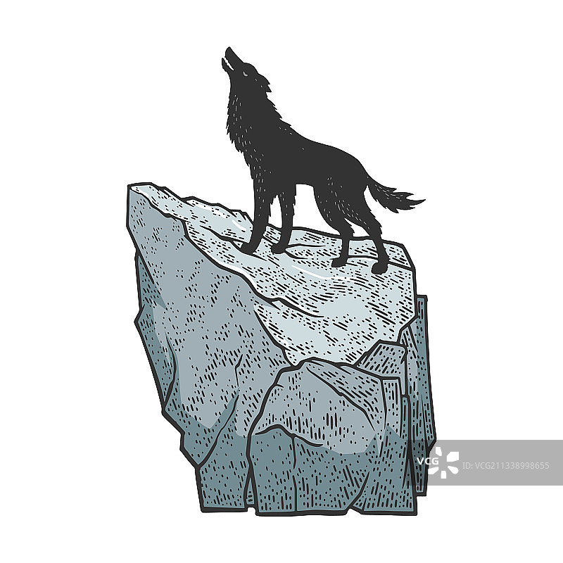 在岩石上嚎叫的郊狼素描图片素材