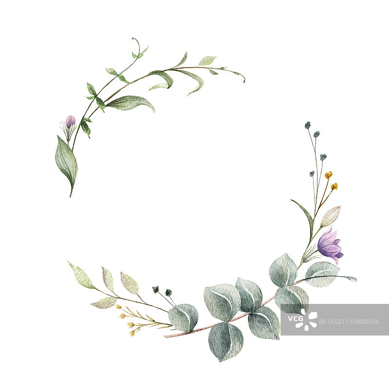 水彩绿色桉树花环图片素材