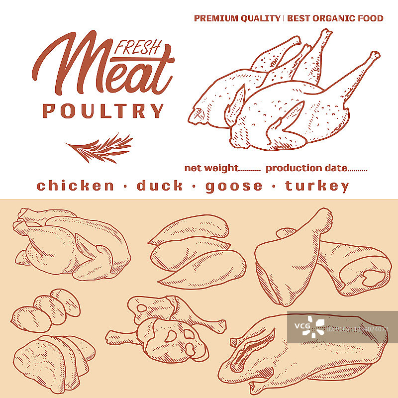 新鲜生肉雕刻设计图片素材
