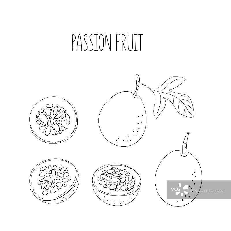 黑色线条百香果素材图片素材