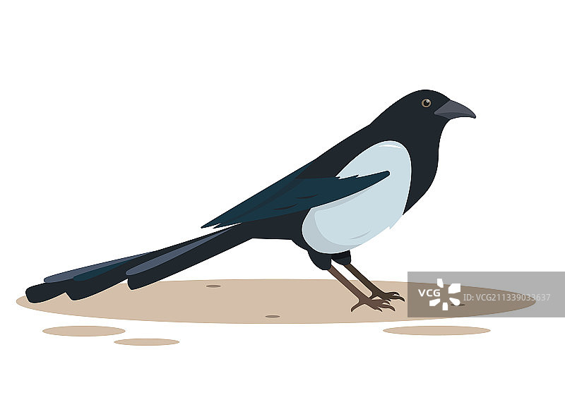 自然设计喜鹊鸟图标图片素材