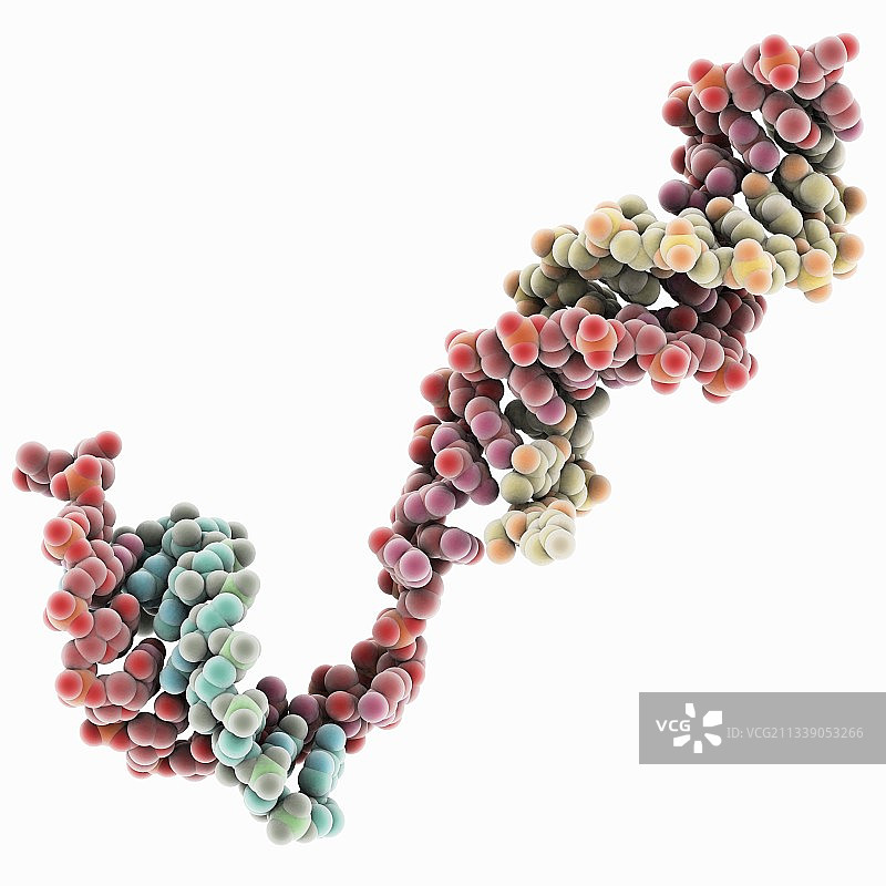 DNA转录分子模型图片素材